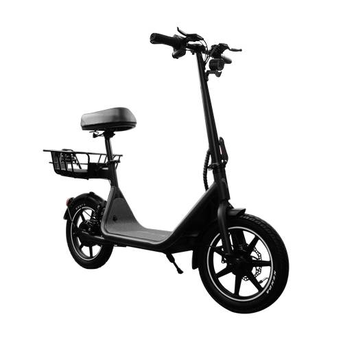 ACCVGO2520