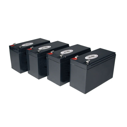 BATTRL310