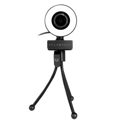 CAMBLR020