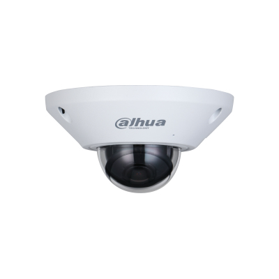CAMDAH2890