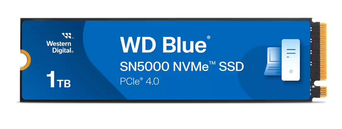 DDUWSD2600