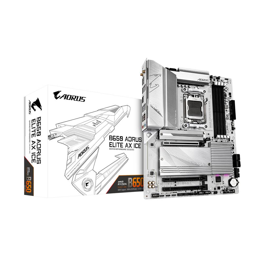 MBDGIG5100