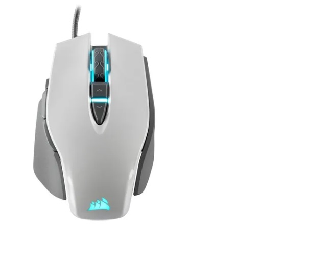 MOUCOR260