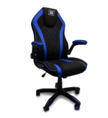 SILVGO110