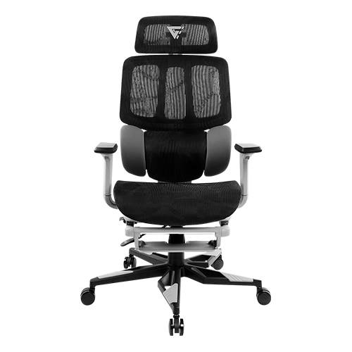 SILVGO210