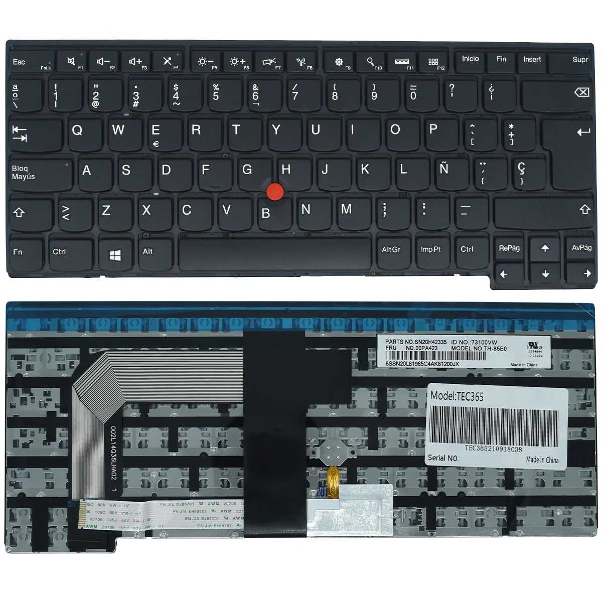 TECBFT2440